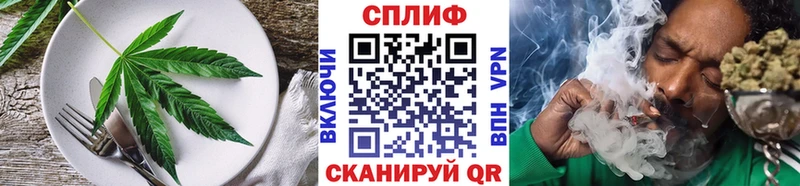 Cannafood конопля Зея
