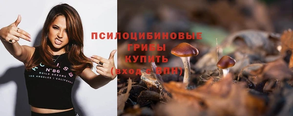 прущие грибы Сафоново