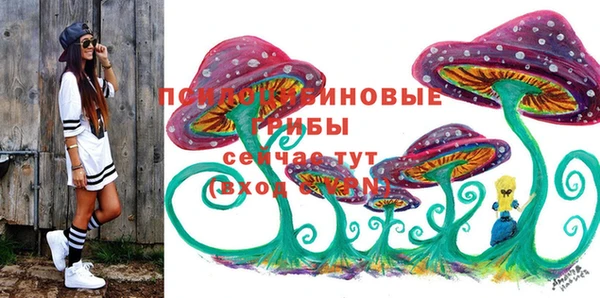 винт Елабуга