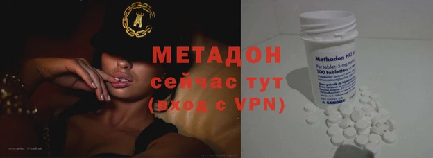 прущие грибы Сафоново
